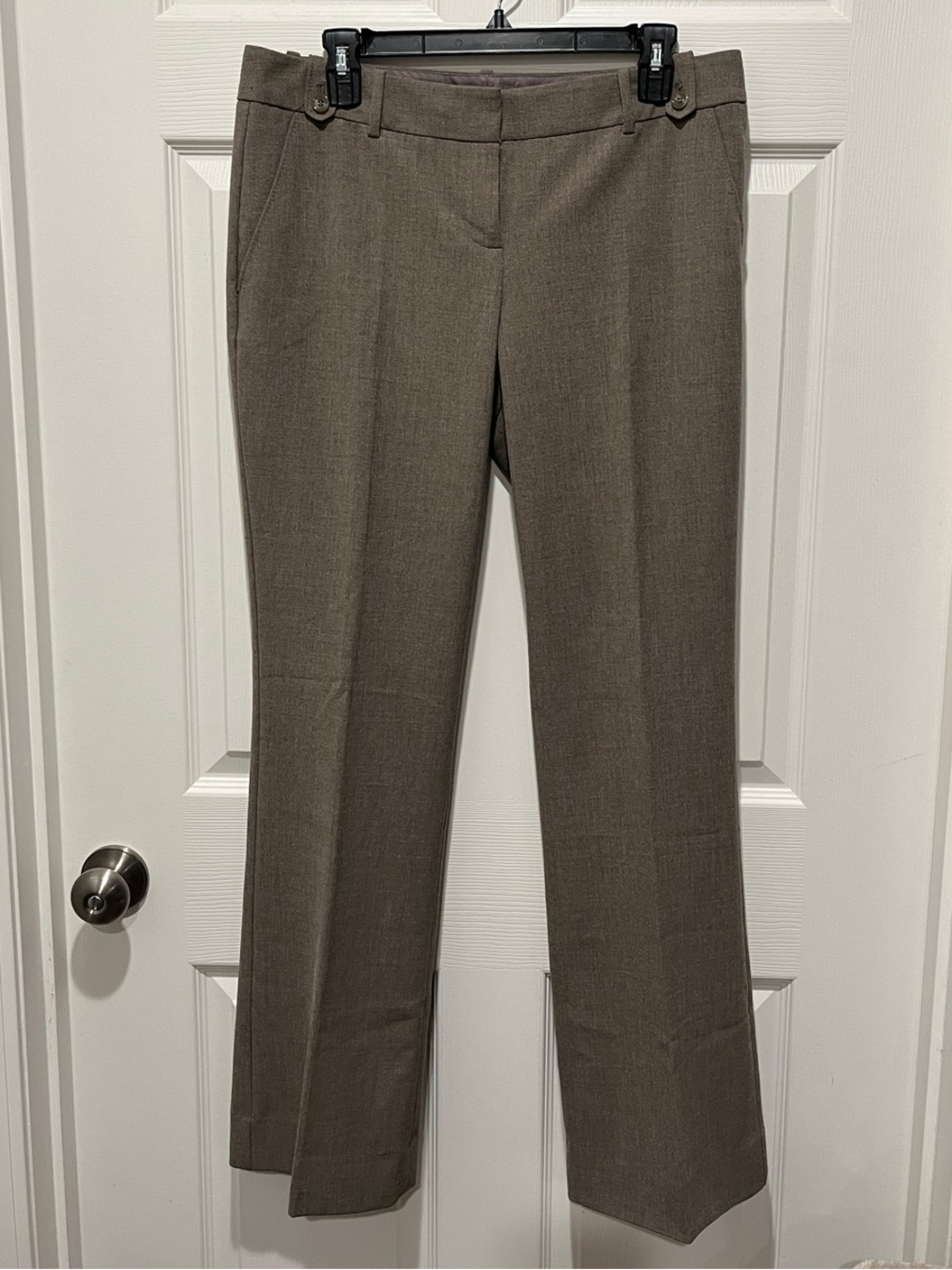 The Limited Collection Tailored Dress Pants in Drew fit